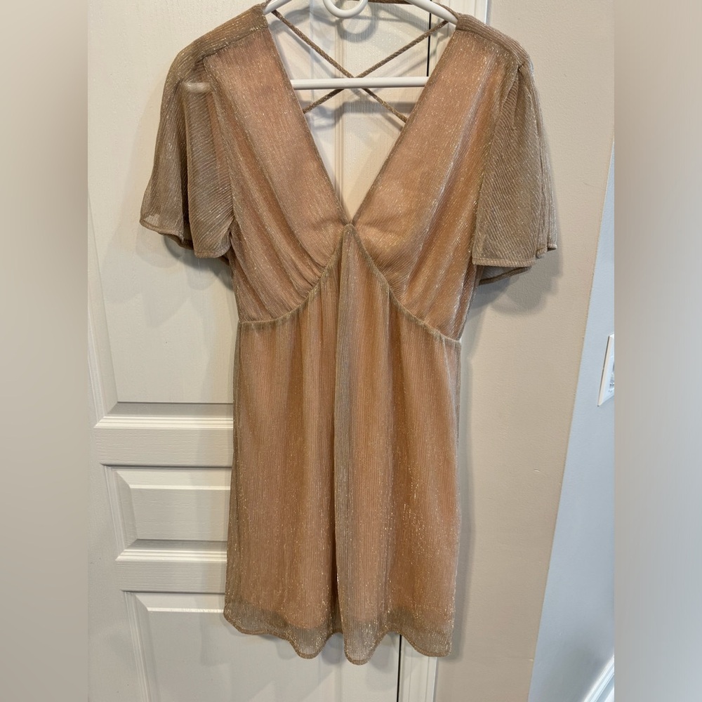 New with Tags Francesca’s Allison Gold Slip Dress